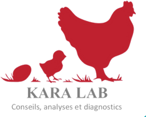 KARA LAB